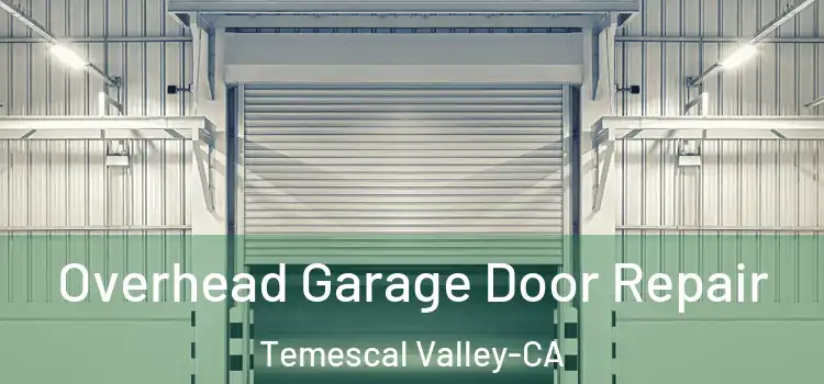  Overhead Garage Door Repair Temescal Valley-CA