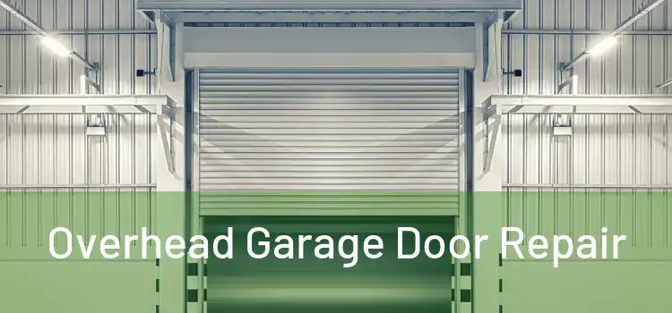  Overhead Garage Door Repair 